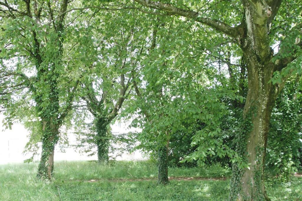 Cotswold Gem Διαμέρισμα Upper Rissington Εξωτερικό φωτογραφία